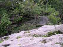 DSCN0130.JPG