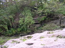 DSCN0131.JPG