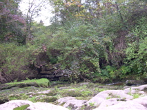 DSCN0132.JPG