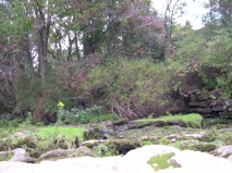 DSCN0134.JPG