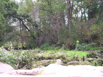 DSCN0135.JPG