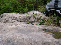 DSCN0139.JPG