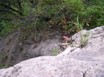 DSCN0141.JPG
