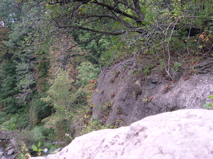 DSCN0142.JPG