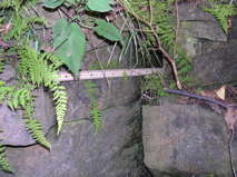 DSCN0144.JPG