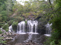 DSCN0152.JPG