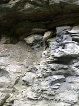 DSCN0162.JPG