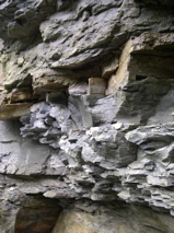DSCN0164.JPG