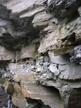 DSCN0165.JPG