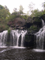 DSCN0170.JPG