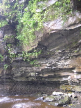DSCN0177.JPG