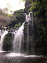 DSCN0179.JPG