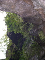 DSCN0197.JPG