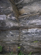 DSCN0331.JPG