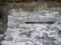 DSCN0332.JPG