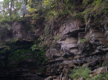DSCN0333.JPG
