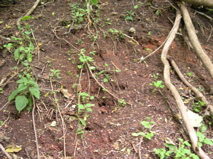 DSCN0072.JPG