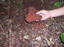 DSCN0075.JPG