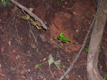 DSCN0077.JPG