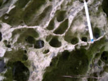 DSCN0084.JPG