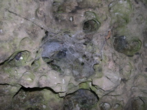 DSCN0089.JPG