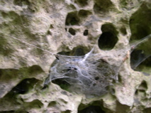 DSCN0092.JPG