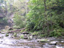 DSCN0100.JPG