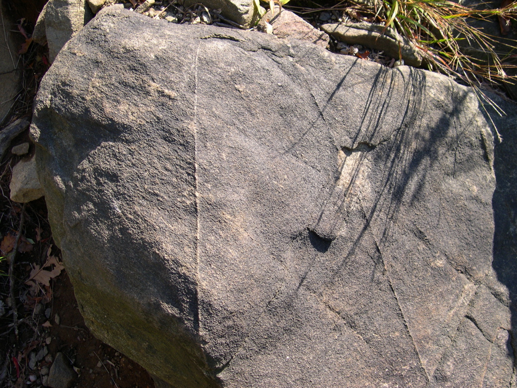 DSCN0039.JPG