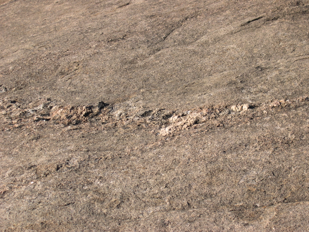 DSCN0055.JPG