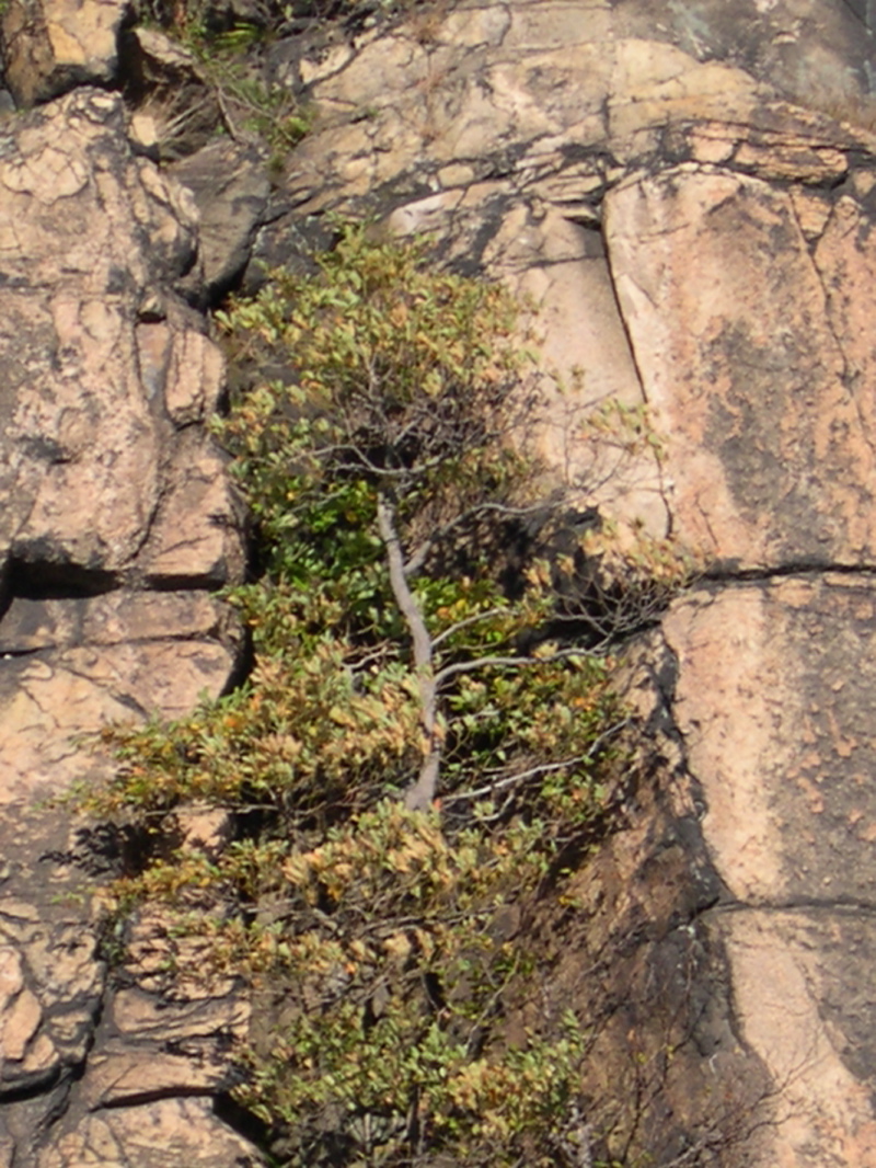 DSCN0072.JPG