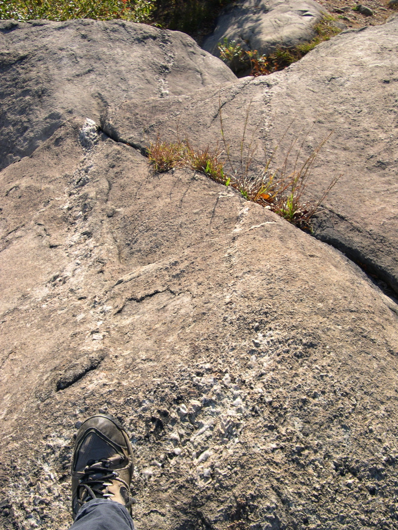 DSCN0073.JPG