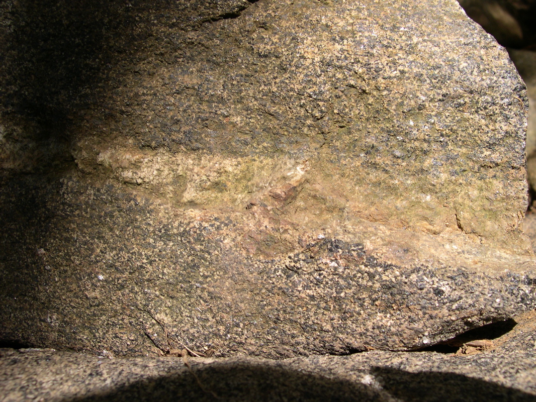 DSCN0026.JPG