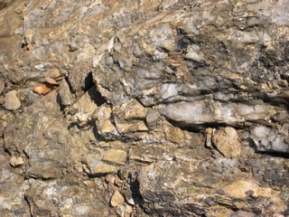DSCN0035.JPG