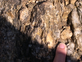 DSCN0036.JPG