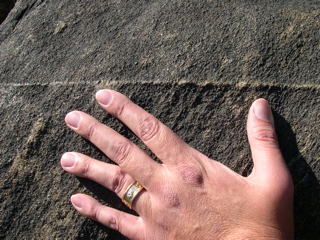 DSCN0037.JPG