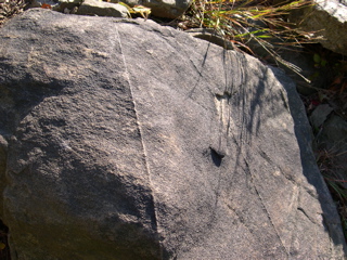 DSCN0038.JPG