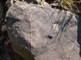 DSCN0039.JPG