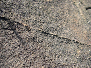 DSCN0040.JPG