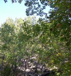 DSCN0024.JPG