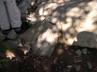 DSCN0027.JPG