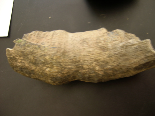 DSCN0019.JPG