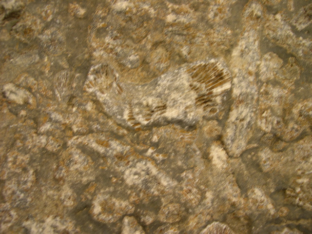 DSCN0012.JPG