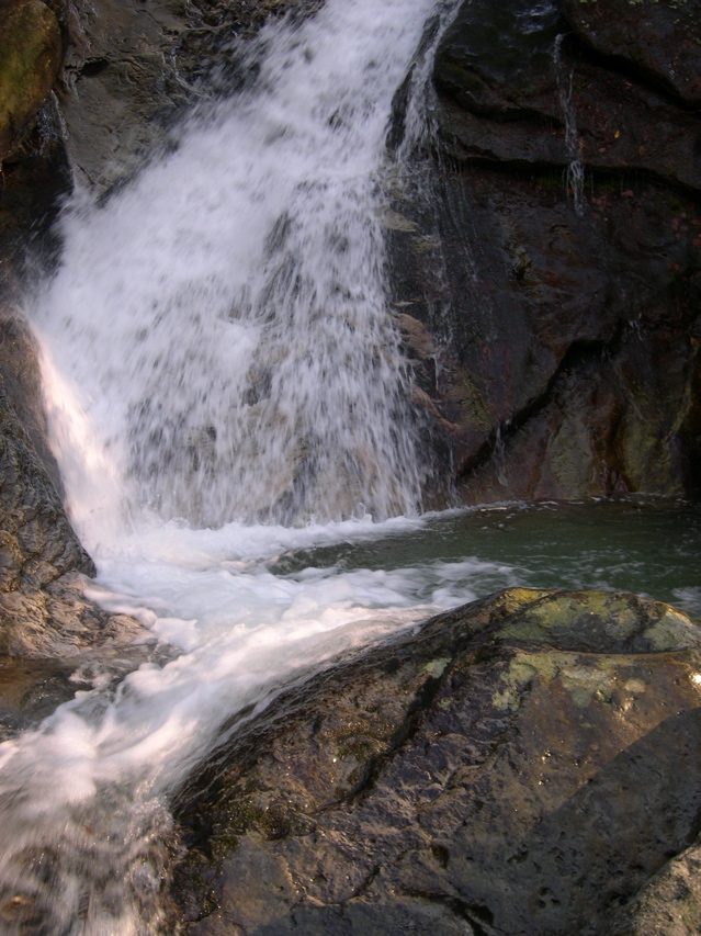 DSCN0037.JPG