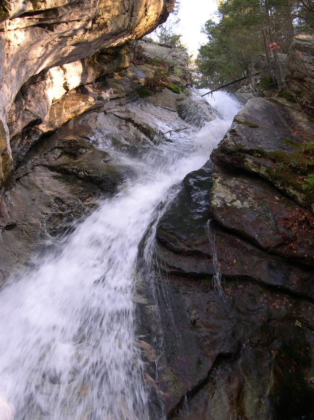 DSCN0039.JPG
