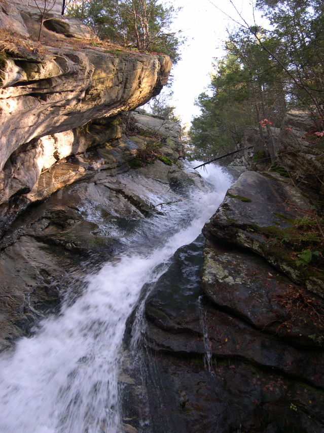 DSCN0040.JPG