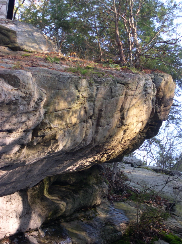 DSCN0043.JPG