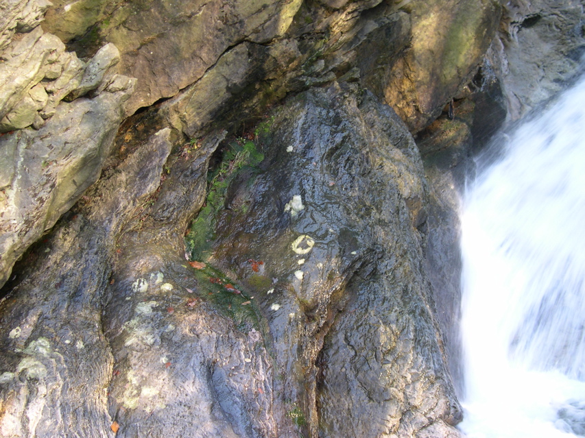 DSCN0048.JPG