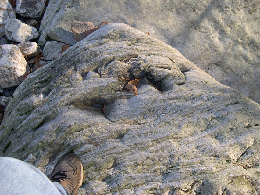 DSCN0052.JPG