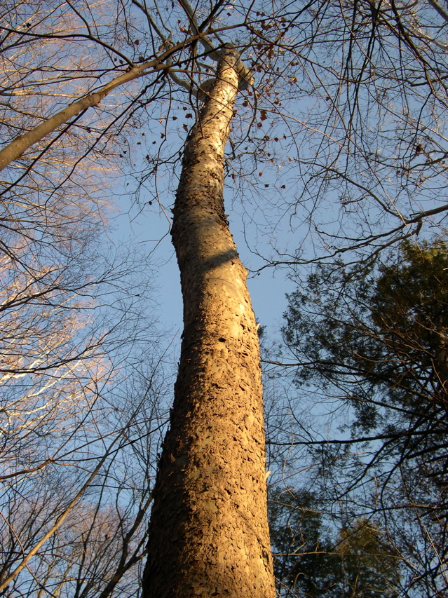 DSCN0075.JPG