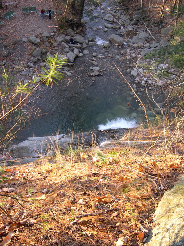 DSCN0084.JPG